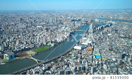 【空撮】上空から見た東京の景色02 81539300