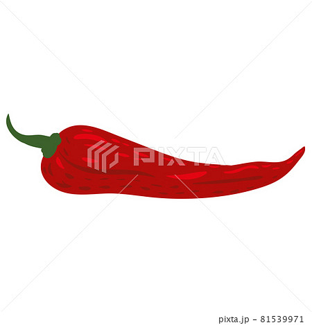 Red hot chili pepper natural healthy organic nutrition product. Vector doodle cartoon flat trendy illustration hand drawn isolated 81539971