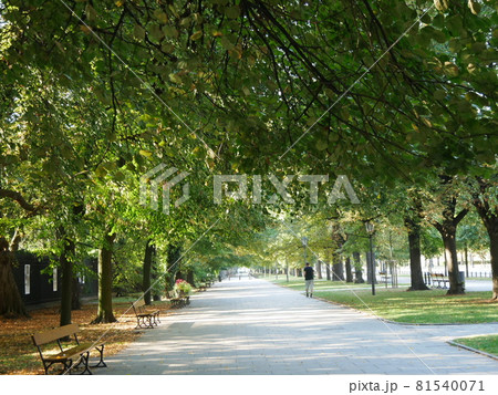 ワジェンキ公園 81540071