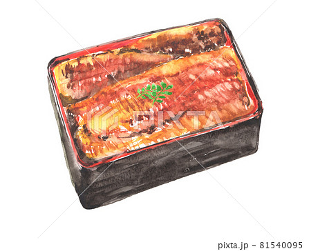 水彩で描いた鰻の蒲焼のイラスト 81540095