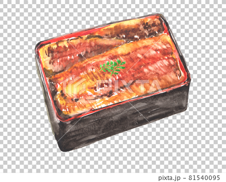 水彩で描いた鰻の蒲焼のイラスト 81540095