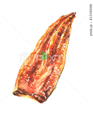 水彩で描いた鰻の蒲焼のイラスト 81540096