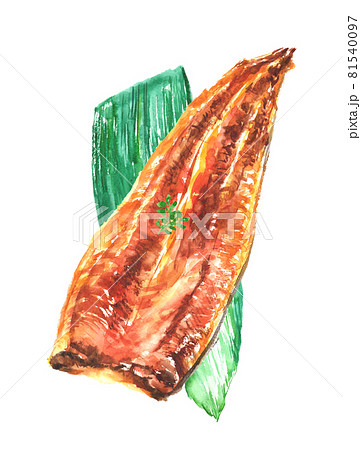 水彩で描いた鰻の蒲焼のイラスト 81540097