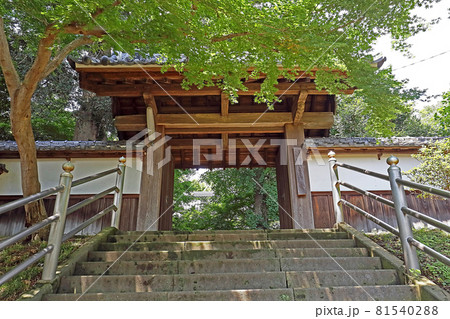 了善寺（東松山） 81540288