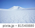 厳冬期の旭岳 81540880