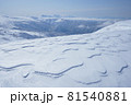 厳冬期の旭岳 81540881