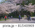 三ツ池公園の桜吹雪 81540969