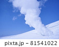 厳冬期の旭岳 81541022