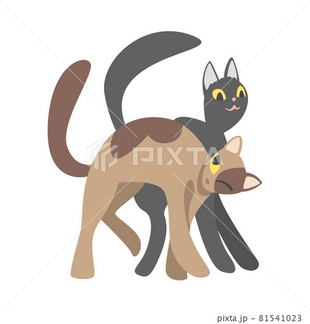 Couple of Smooth Coated Cat in Love Fawning and Cuddling Vector Illustration 81541023