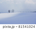 厳冬期の美瑛町 81541024