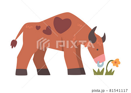 Brown Spotted Bull with Horns and Ring in the Nose Grazing on the Field Vector Illustration 81541117