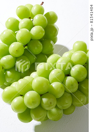 シャインマスカット シャインマスカット 81541404