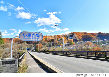 小海大橋/千曲川 小海トンネル方面を望む(長野県小海町)【2019.11】 小海大橋/千曲川 小海トンネル方面を望む(長野県小海町)【2019.11】 81541831
