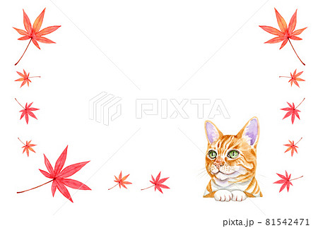 紅葉と猫　秋のフレーム【手描き水彩画】 81542471
