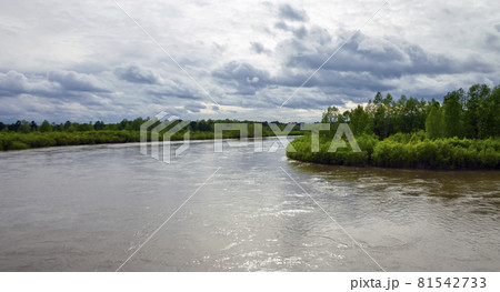 High water level in the Siberian river Kitoy in early June. 81542733