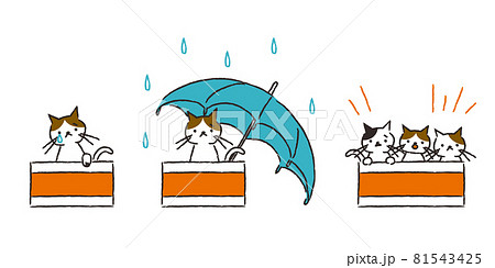 ダンボールの捨て猫 雨の中 子猫のイラスト素材