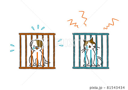 檻に入れられた犬と猫 81543434