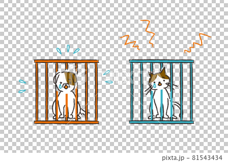 檻に入れられた犬と猫 81543434