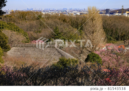 【東京都】百草園展望台からの眺望 81543538