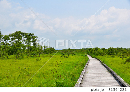 釧路湿原 81544221