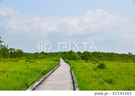釧路湿原 81544263
