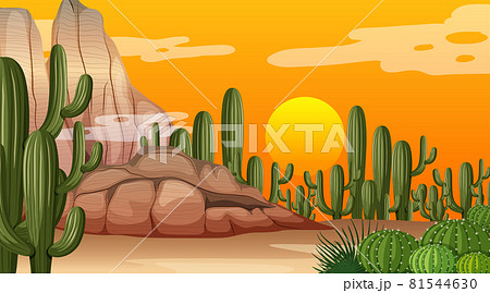 Desert forest landscape at sunset time scene with many cactuses Desert forest landscape at sunset time scene with many cactuses 81544630