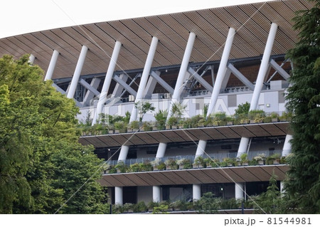 国立競技場 81544981
