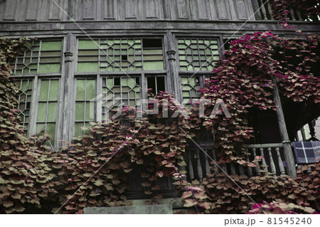 Tbilisi, Georgia - Sep 01, 2021. Old wooden house at Historic Centre of Tbilisi, Georgia. Tbilisi is the Georgia ancient and vibrant capital city The building is overgrown with red grass Tbilisi, Georgia - Sep 01, 2021. Old wooden house at Historic Centre of Tbilisi, Georgia. Tbilisi is the Georgia ancient and vibrant capital city The building is overgrown with red grass 81545240