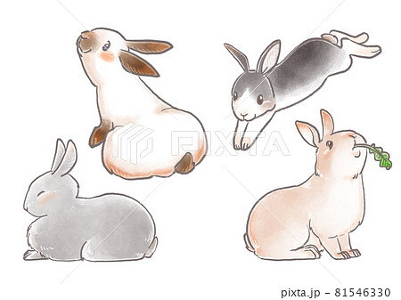 うさぎ達のイラスト素材 [81546330] - PIXTA