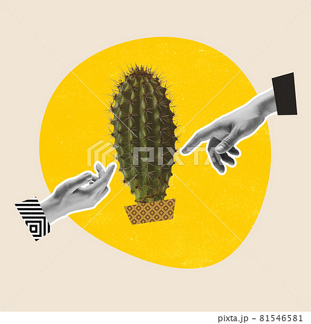 Contemporary art collage on pastel background. Concept of business communication 81546581
