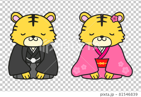 正座をしてお辞儀をしている虎の夫婦　和装 81546839