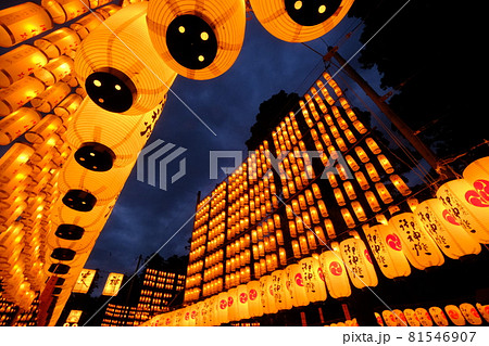 多賀大社万灯祭 81546907