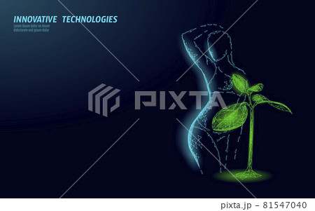 Woman slim shape silhouette low poly. Fitness beauty girl graceful body. Weigh lose nutrition supplement banner template vector illustration Woman slim shape silhouette low poly. Fitness beauty girl graceful body. Weigh lose nutrition supplement banner template vector illustration 81547040