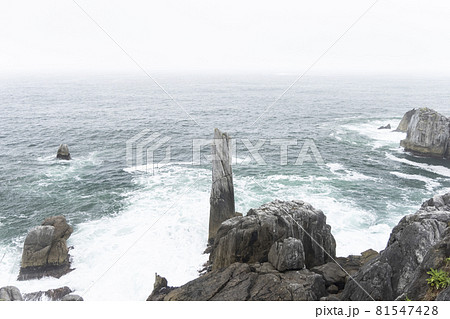 宮城県気仙沼市　海岸の散歩道の発見　宮城オルレ　トレッキングコース 81547428