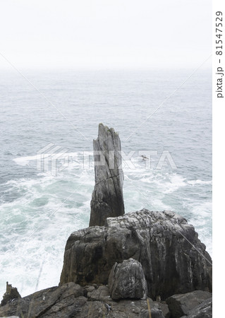 宮城県気仙沼市　海岸の散歩道の発見　宮城オルレ　トレッキングコース 81547529