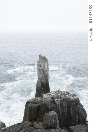 宮城県気仙沼市 海岸の散歩道の発見 宮城オルレ トレッキングコース 宮城県気仙沼市 海岸の散歩道の発見 宮城オルレ トレッキングコース 81547530