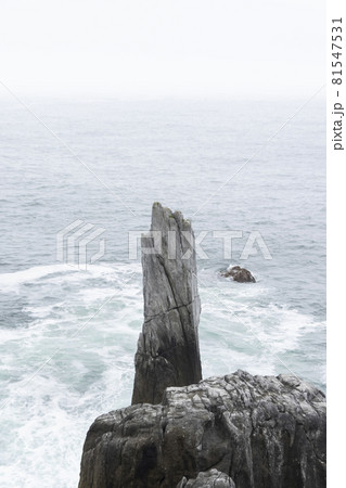 宮城県気仙沼市　海岸の散歩道の発見　宮城オルレ　トレッキングコース 81547531