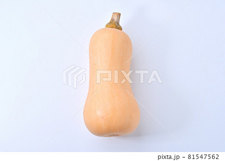 食材、バターナッツかぼちゃ。カボチャ、南瓜。バターナッツ。 食材、バターナッツかぼちゃ。カボチャ、南瓜。バターナッツ。 81547562