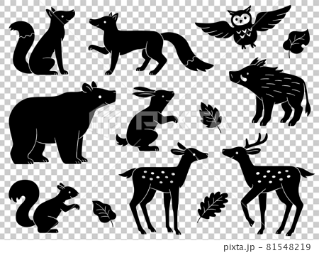 Silhouette illustrations of forest animals - Stock Illustration [81548219]  - PIXTA