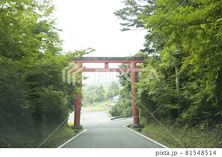宮城県気仙沼市　海岸の散歩道の発見　宮城オルレ　トレッキングコース　神社の鳥居　赤鳥居 81548514