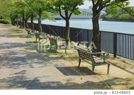 大川のほとり 大川のほとり 81548605