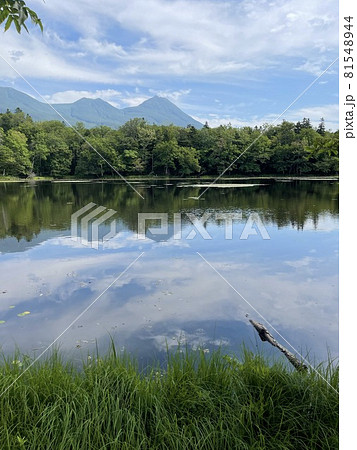 知床五湖の三湖 81548944