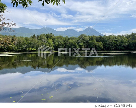 知床五湖の三湖 81548945