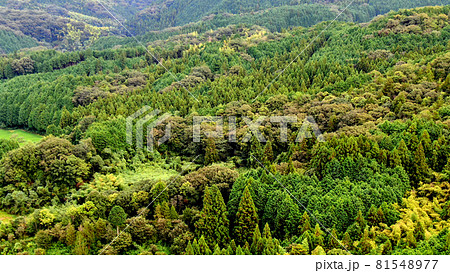 岩国市の広大な森林 81548977
