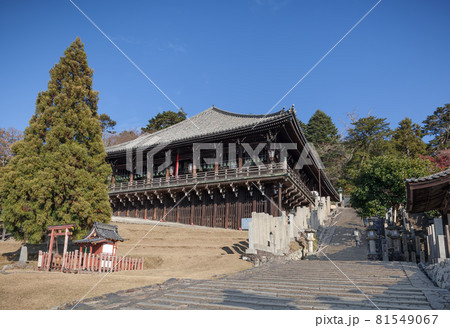奈良 東大寺二月堂と良弁杉 81549067