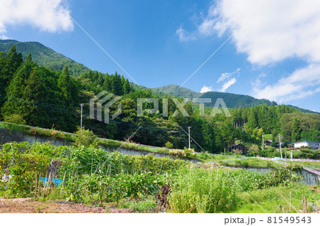 夏の里風景《道志村》 夏の里風景《道志村》 81549543
