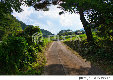 木陰で涼む《道志村》 木陰で涼む《道志村》 81549547