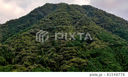 ドローンの空撮による蓮華山 ドローンの空撮による蓮華山 81549778