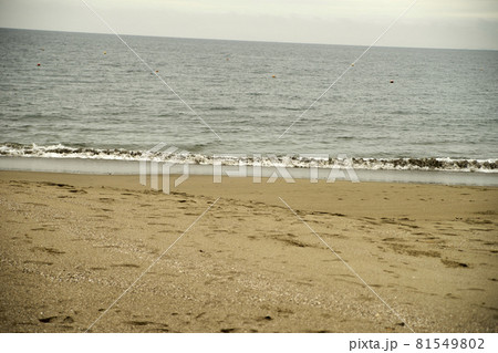海・水平線・海岸・浜・波 81549802