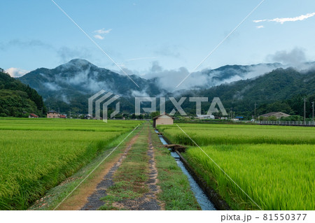 雨上がりの雲 雨上がりの雲 81550377